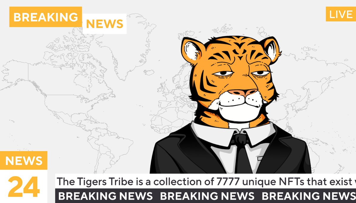 The Tigers Tribe tweet media