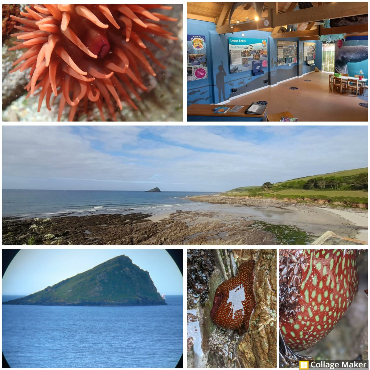 WemburyMarine's tweet photo. We have lots of exciting events coming up over the next few days for the Platinum Jubilee weekend. Click the link below to find out more details and book on our events. 😎👢👑🐙🐚🦀🦋🦑🌞

https://t.co/4f59JJCuOt https://t.co/1eMT9PTw48