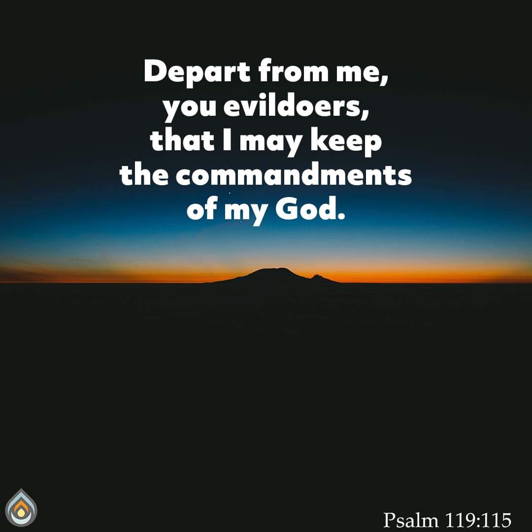 FirstChurchPCA's tweet photo. Psalm 119:115

#FirstChurchPCA #YouBelongHere https://t.co/AdIBdK2HdI