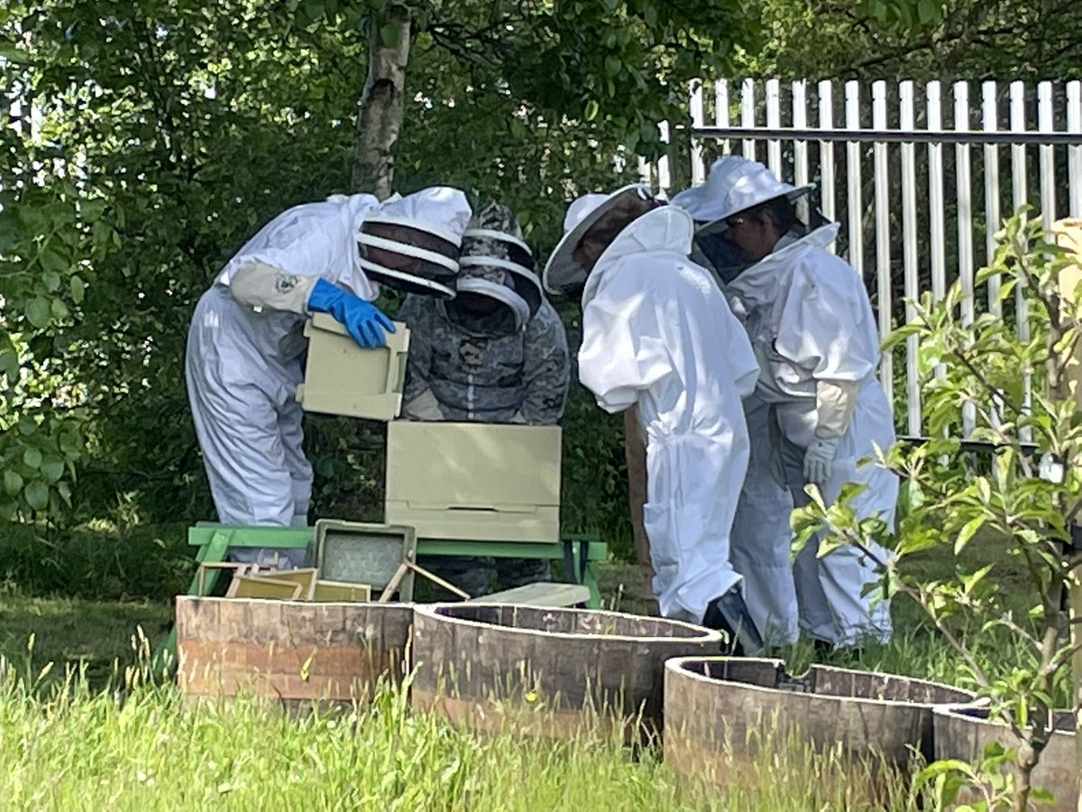 stcolumbaPEdept's tweet photo. The Bees have arrived!! Exciting times in the St Columbaโs Garden! #columbuzz #busybees @_stcolumba @SClpl @stcolumbaPEdept @St_Col_Home_Ec1 @_FoodforThought https://t.co/3mVYWMQCdG