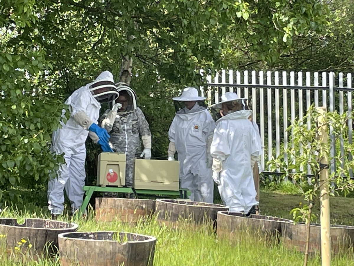 stcolumbaPEdept's tweet photo. The Bees have arrived!! Exciting times in the St Columbaโs Garden! #columbuzz #busybees @_stcolumba @SClpl @stcolumbaPEdept @St_Col_Home_Ec1 @_FoodforThought https://t.co/3mVYWMQCdG