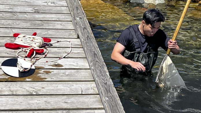 YorkUnews's tweet photo. Ecology field course on Manitoulin Island earlier this month with @YorkUScience Prof @dawnbazely, a first since the pandemic began, gave students the hands-on experience they had been missing and hoping for https://t.co/XnYPmtz1zl via @TorontoStar https://t.co/IIwm3m2aFy