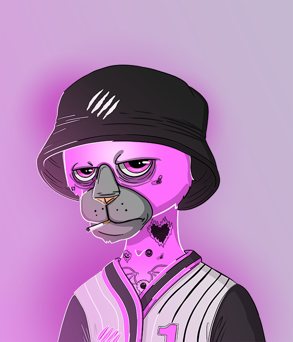 Pedro ALPHA tweet media