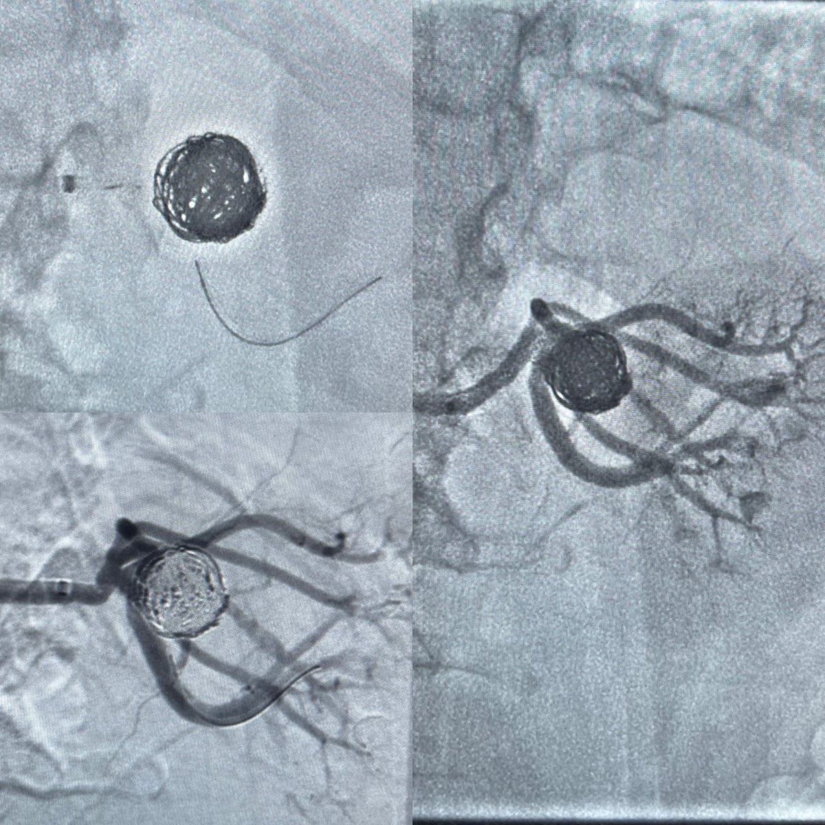 Tarek Kammoun tweet media