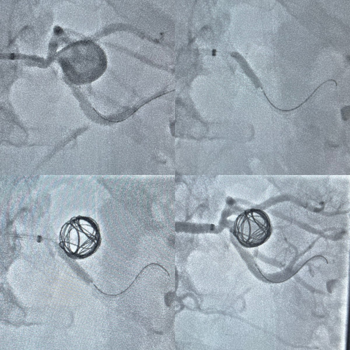 Tarek Kammoun tweet media