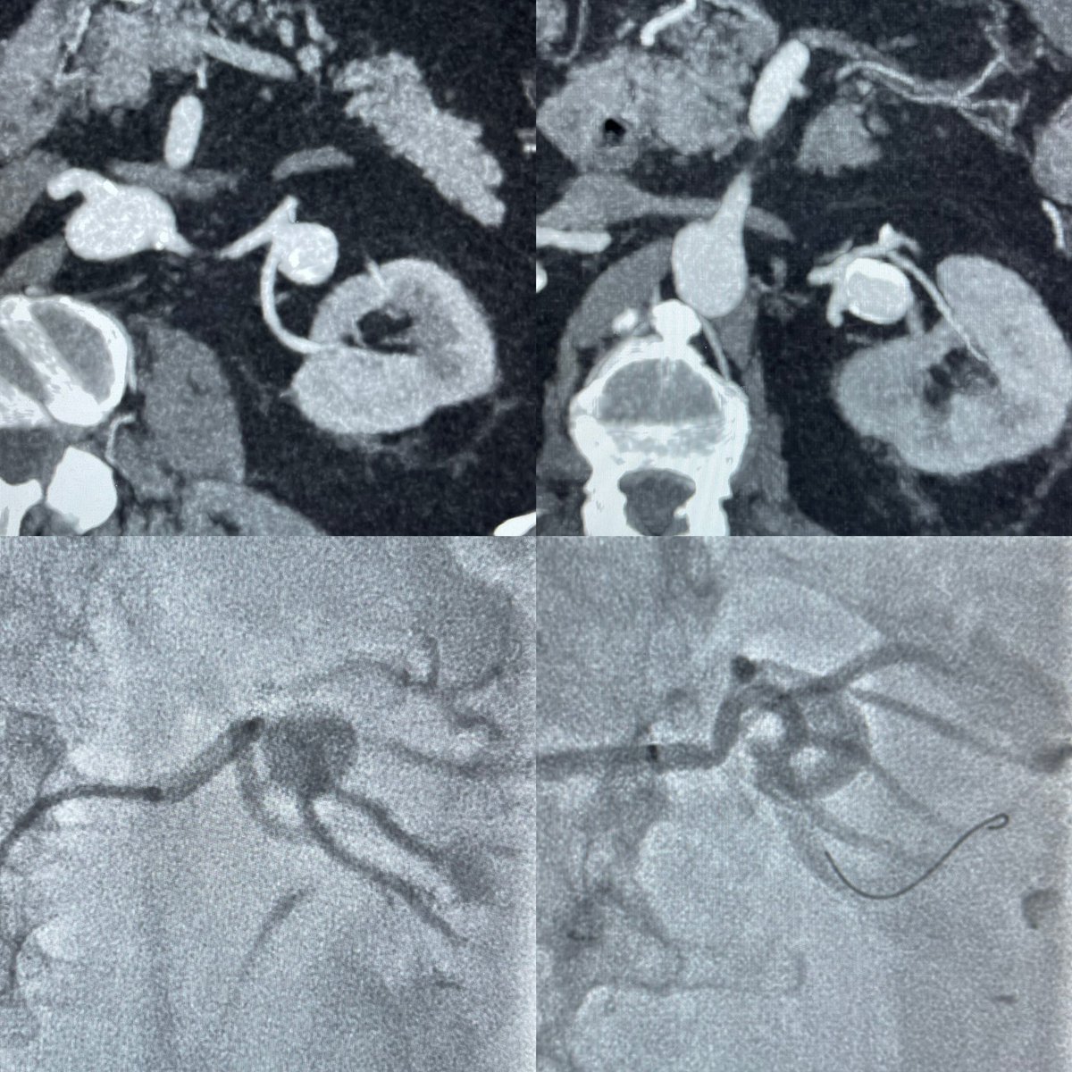 Tarek Kammoun tweet media