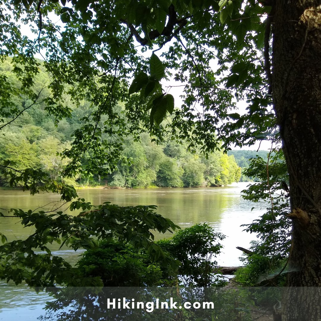 ClintHikingInk's tweet photo. Spring green, lazy, cool river
#mountains #hikingadventure #hikingtrails #nature #savetheplanet https://t.co/4ELl8MQnHk