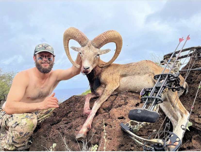 dirtydoebuckwld's tweet photo. Congratulations Tyler!
Hawaii was good!Worked your a$$ off for this !
#hunthawaii #mouflon #sitkagear #mathewsinc https://t.co/UdkYIUZS9t