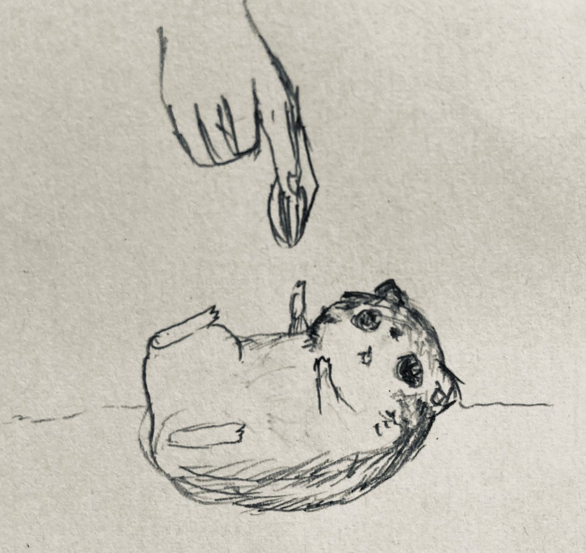 本日の落書き 