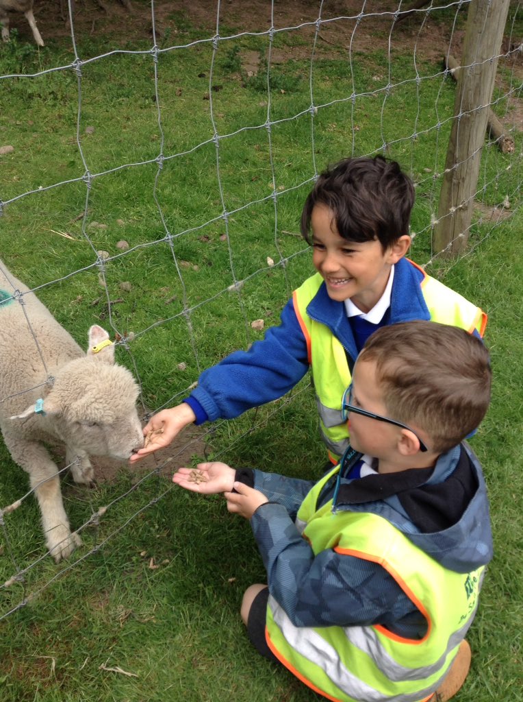 latimerprimary's tweet photo. We also got to feed the goats and sheep. #WhitePostFarm #2EH https://t.co/uBmLaALyFn