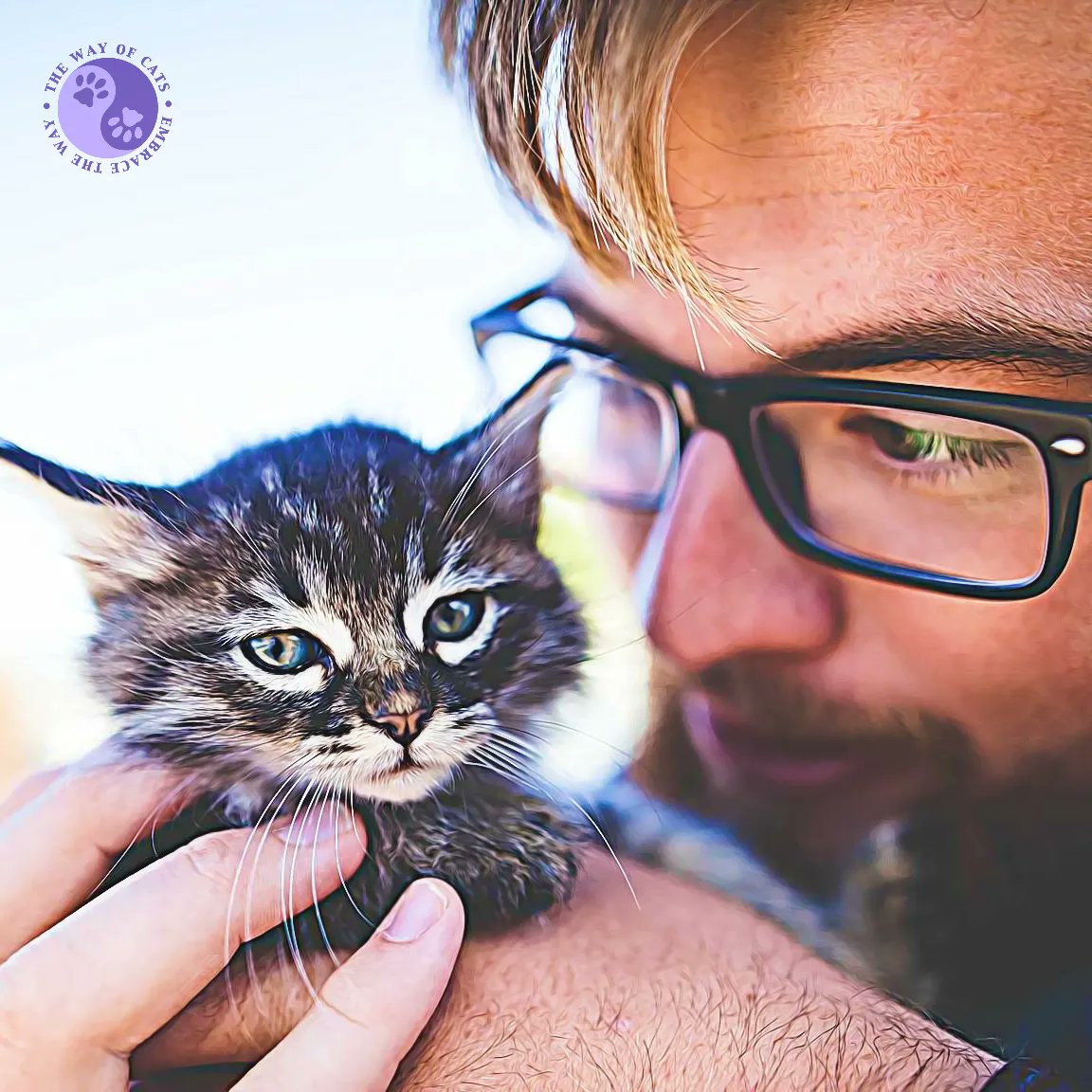 WayofCats's tweet image. Cats Instead of Men is the spinster myth. - Prejudice at the Way of Cats buff.ly/3LLYD2V

This element assumes it's "men" as in a fulfilling relationship, OR "cats" as in crazed spinsterhood. Why not both?
#CatsOfTwitter #CatAppreciators #CatPrejudice #CatsAreFamily