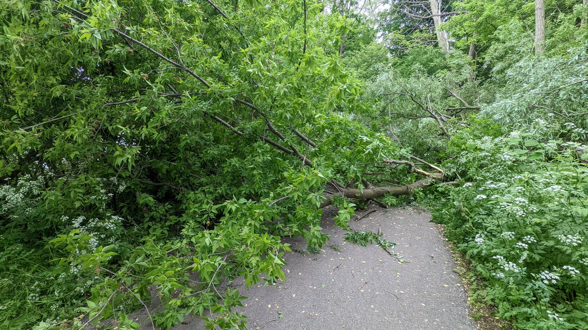 Big tree down on the TVP. Possible to walk past via the forest. <a href="/CityofLdnOnt/">City of London</a>