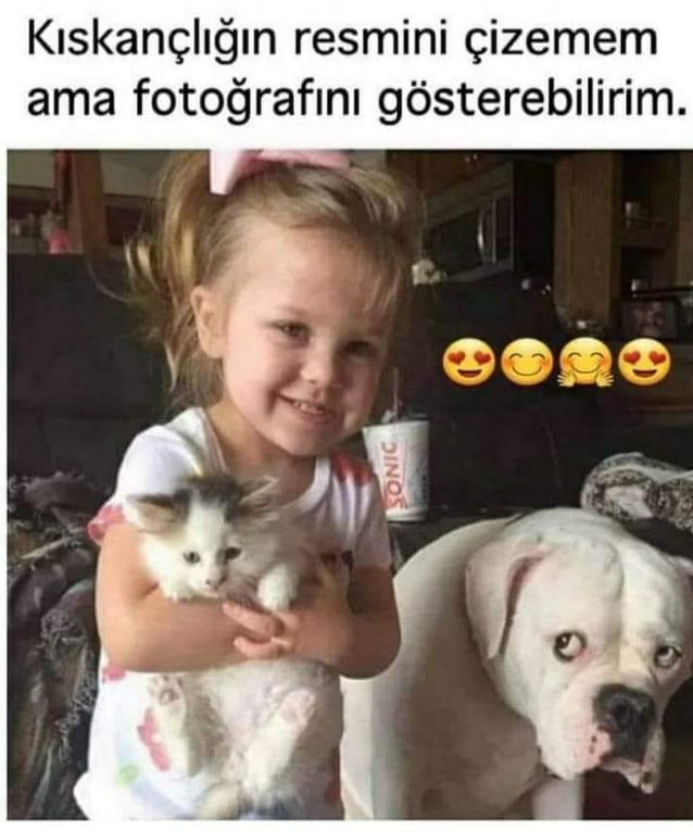 #HDFGS  #GLYHO #blcyt #ardyz ulan bütün bist giderken bizim hisselerdeki halimiz...senetlere aynen şu hayvancağız gibi bakmıyorsam namerdim