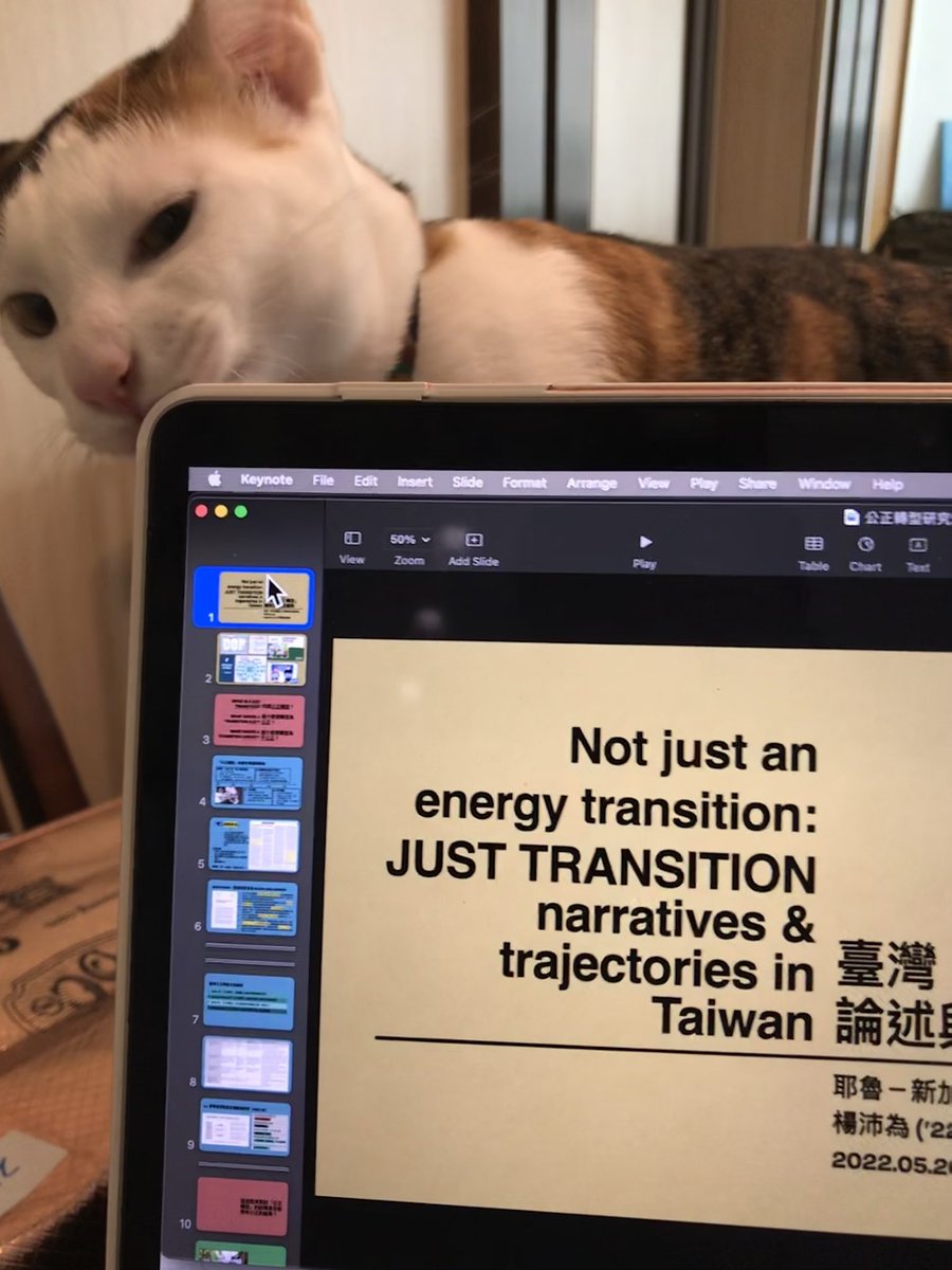 yangpeiwei's tweet photo. had the opportunity today to share some findings from my undergrad capstone thesis on #JustTransition narratives in taiwan with a network of scholars, practitioners, activists &amp; lawmakers! not without some help from this little fella ofc 🐱thank u @MacondoChao for organising! https://t.co/ORjEavczXW