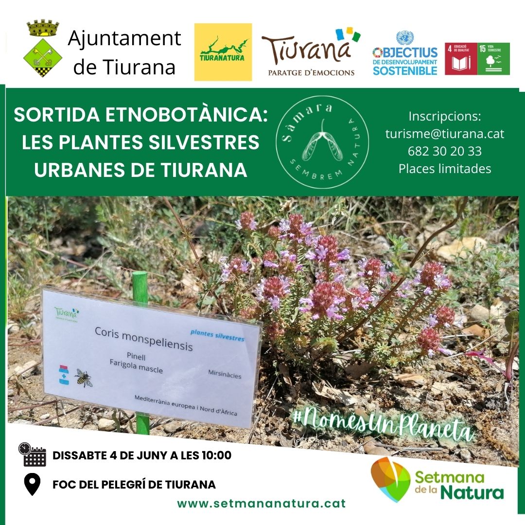 AjTiurana's tweet photo. El 4 de juny us hem preparat 2 activitats per la #setmananatura
Inscriu-te a turisme@tiurana.cat o 682 30 20 33 places limitades

#diaMA #natura #noguera #tiuranatura #lanoguera #biodiversitat #activitatsfamiliars https://t.co/qRDwNaSZPR