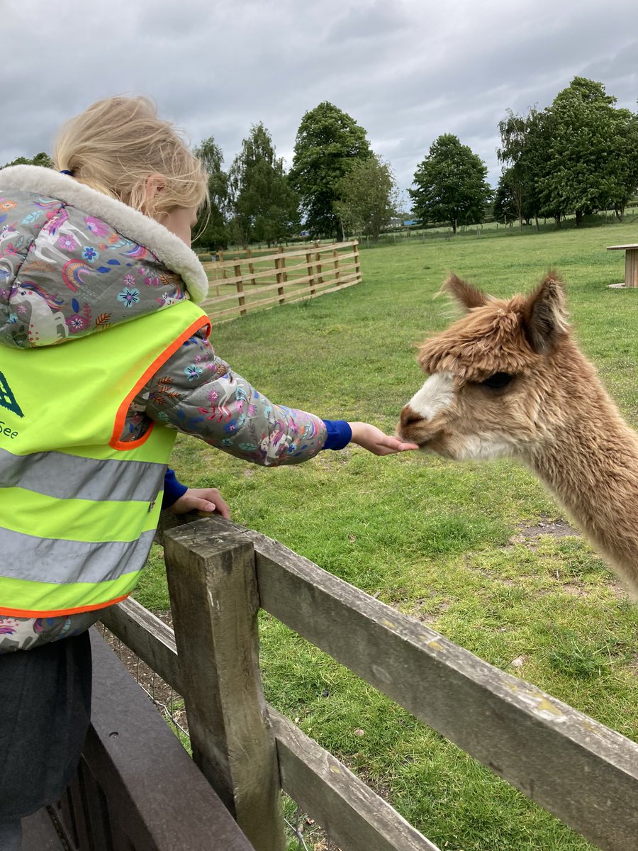 latimerprimary's tweet photo. #ClassKB were busy at the farm today feeding the animals! #WhitePostFarm https://t.co/ztaSayLRji