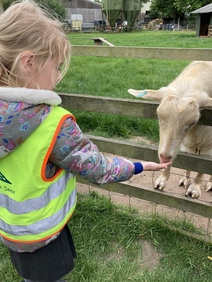 latimerprimary's tweet photo. #ClassKB were busy at the farm today feeding the animals! #WhitePostFarm https://t.co/ztaSayLRji