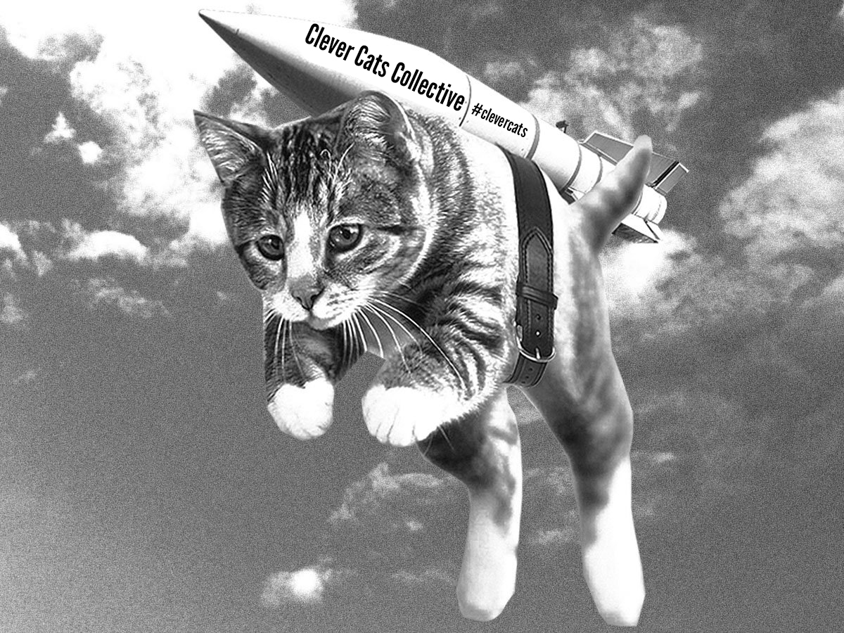 Primed for launch! 

#clevercats #NFTs #NFTCommunity #NFTdrop #NFTMint #Minting