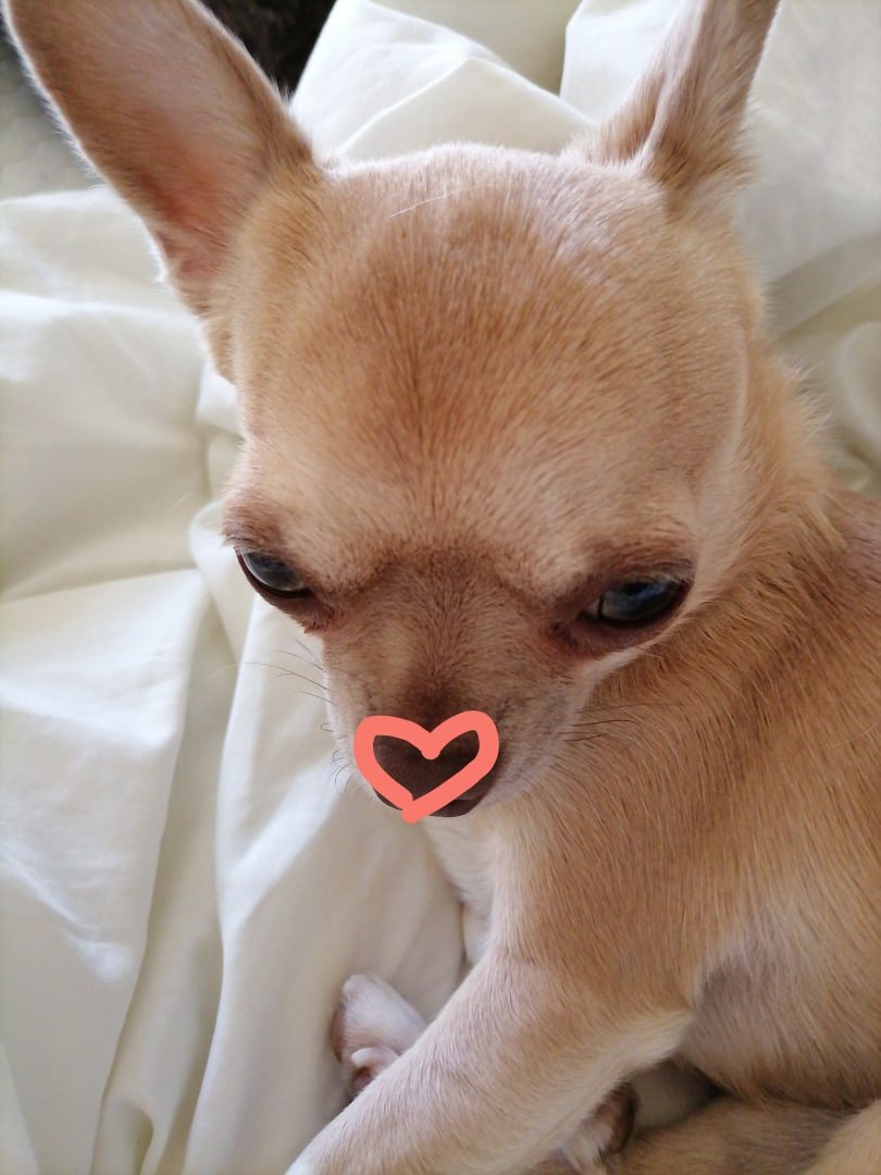 Посмотрите на мою бусинку🥺🥺🥺