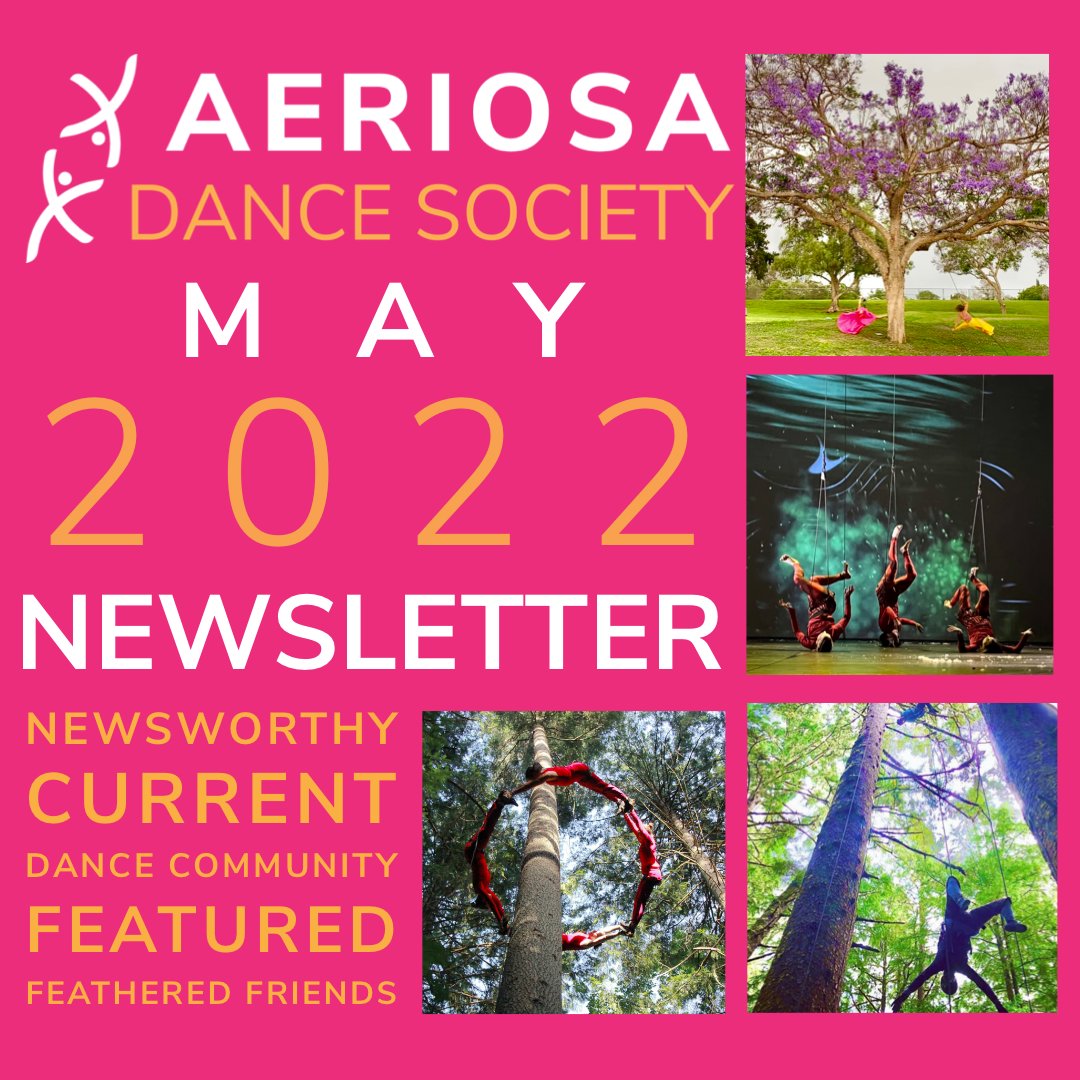 Aeriosa May 2022 Fly By Newsletter - mailchi.mp/756e7f9ba483/a…