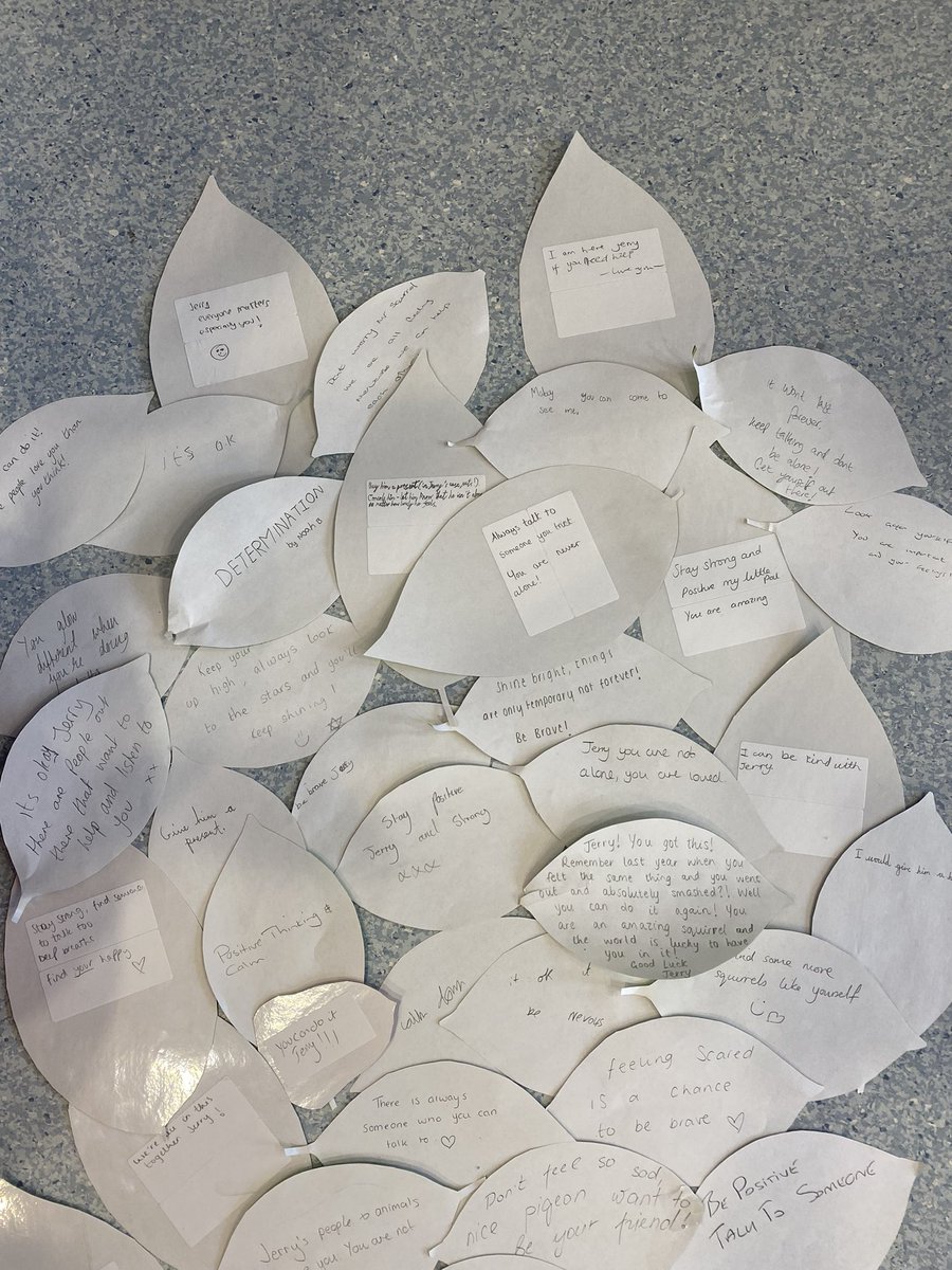 madsdevine's tweet photo. Our #RMCH @MFTnhs general paediatrics own take on the #safewards #dischargetree here at focused support team! We used mental health awareness week to get the ball rolling. Our “words of hope” for Jerry the lonely squirrel. @Safewards @timmcdougall69 @gbrennancafc https://t.co/rr5d0hAAwx