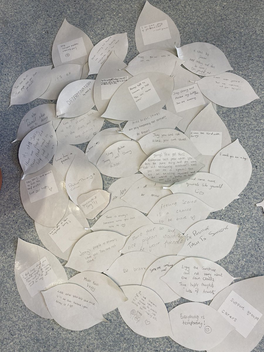 madsdevine's tweet photo. Our #RMCH @MFTnhs general paediatrics own take on the #safewards #dischargetree here at focused support team! We used mental health awareness week to get the ball rolling. Our “words of hope” for Jerry the lonely squirrel. @Safewards @timmcdougall69 @gbrennancafc https://t.co/rr5d0hAAwx