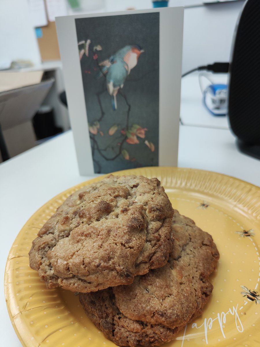 Motel One Newcastle tweet media