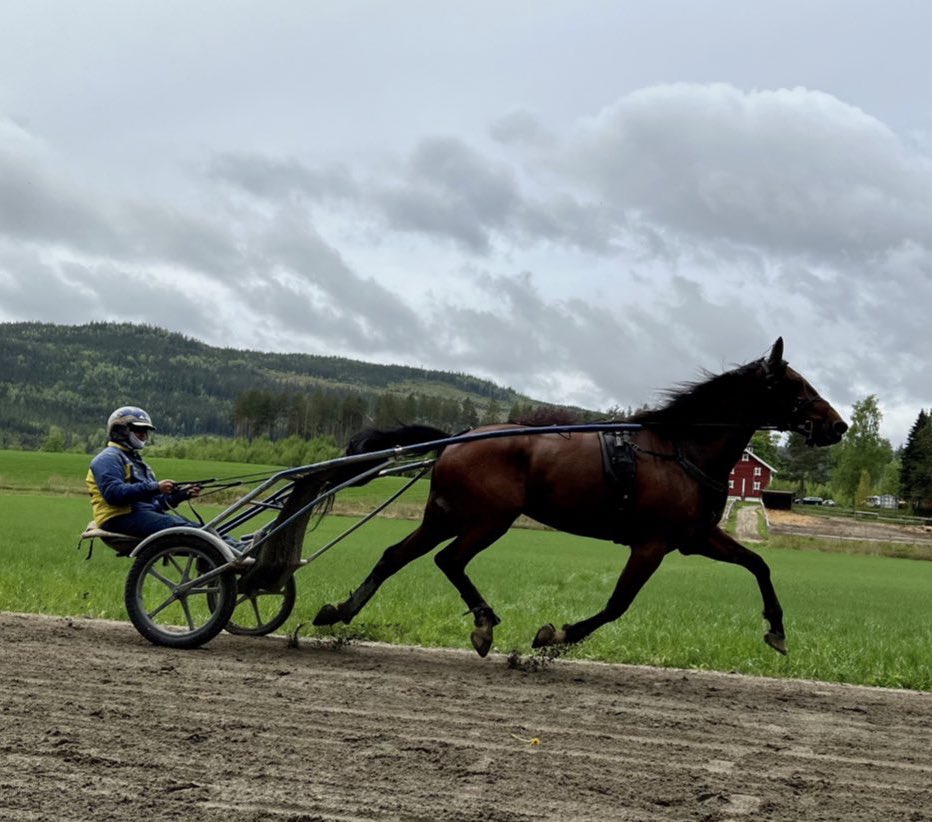 Mellby Frodo under dagens intervaller🌟