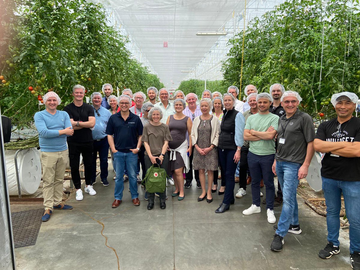 Theo Peters tweet media