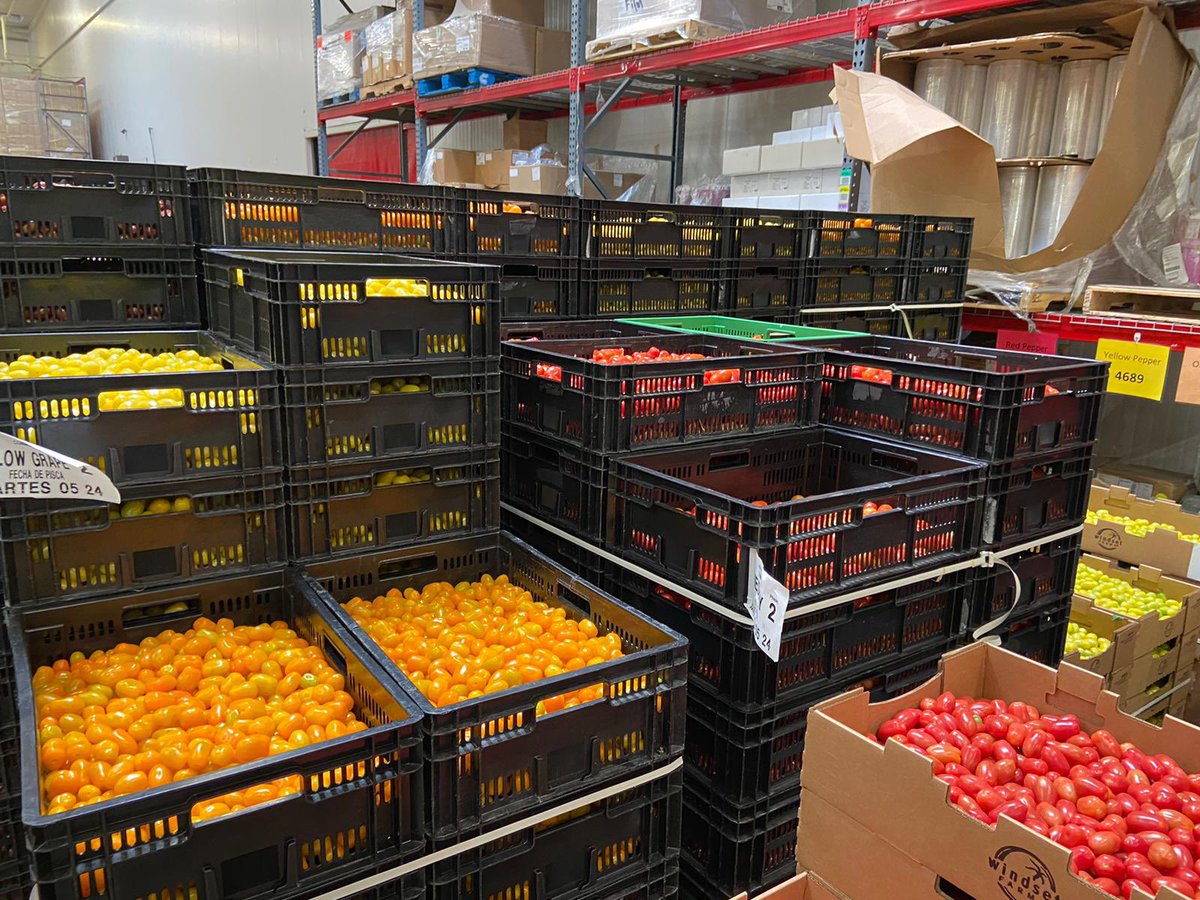 The AgTech trade mission visited <a href="/WindsetFarms/">Windset Farms</a> in Santa Maria, CA, 

This is the largest greenhouse operation on a single site in the US, with lots of innovative solutions for controlled environment farming.