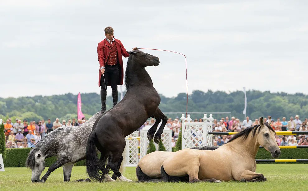 LincsShowground tweet picture