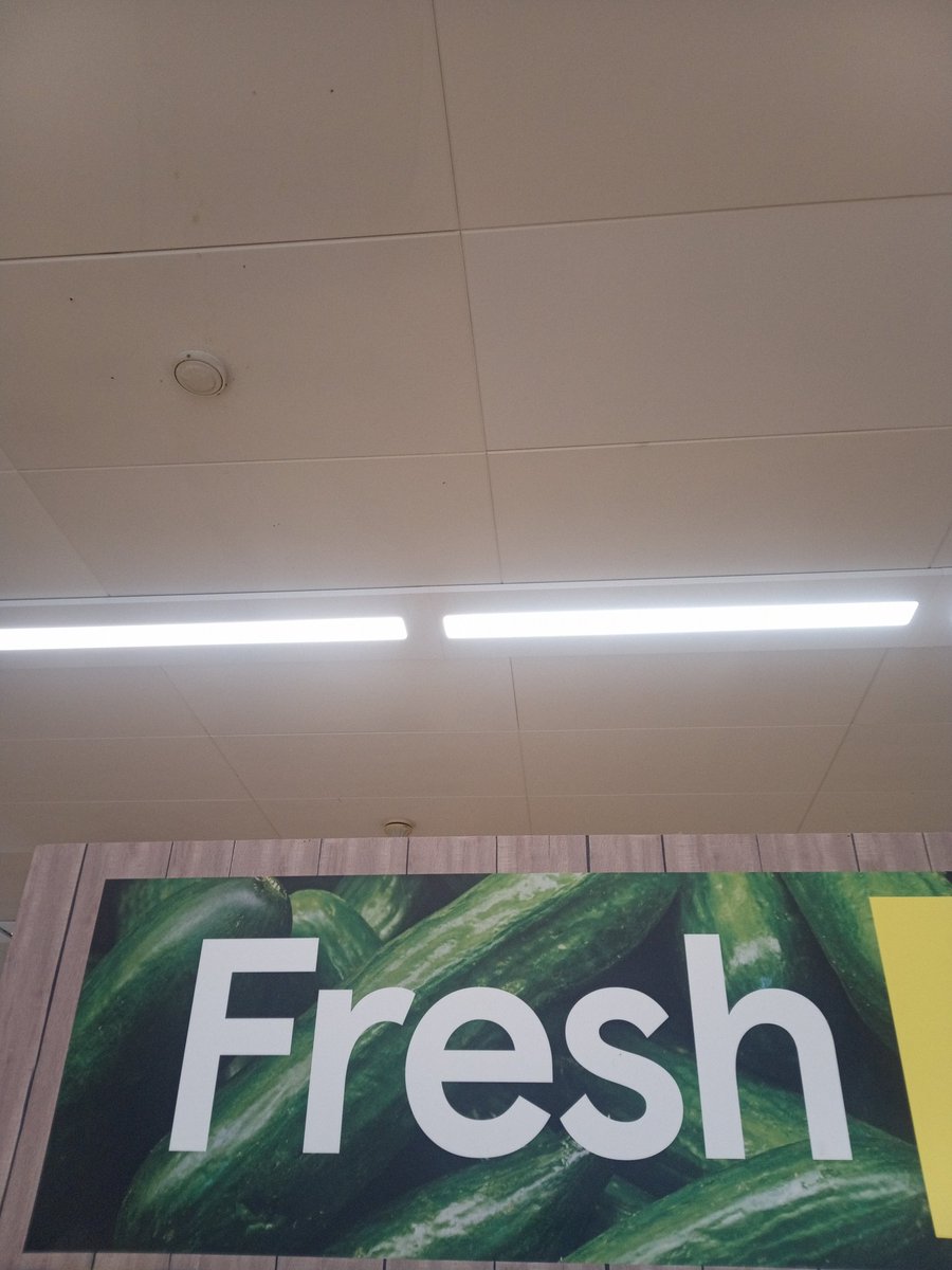 Maureen Mahon tweet media