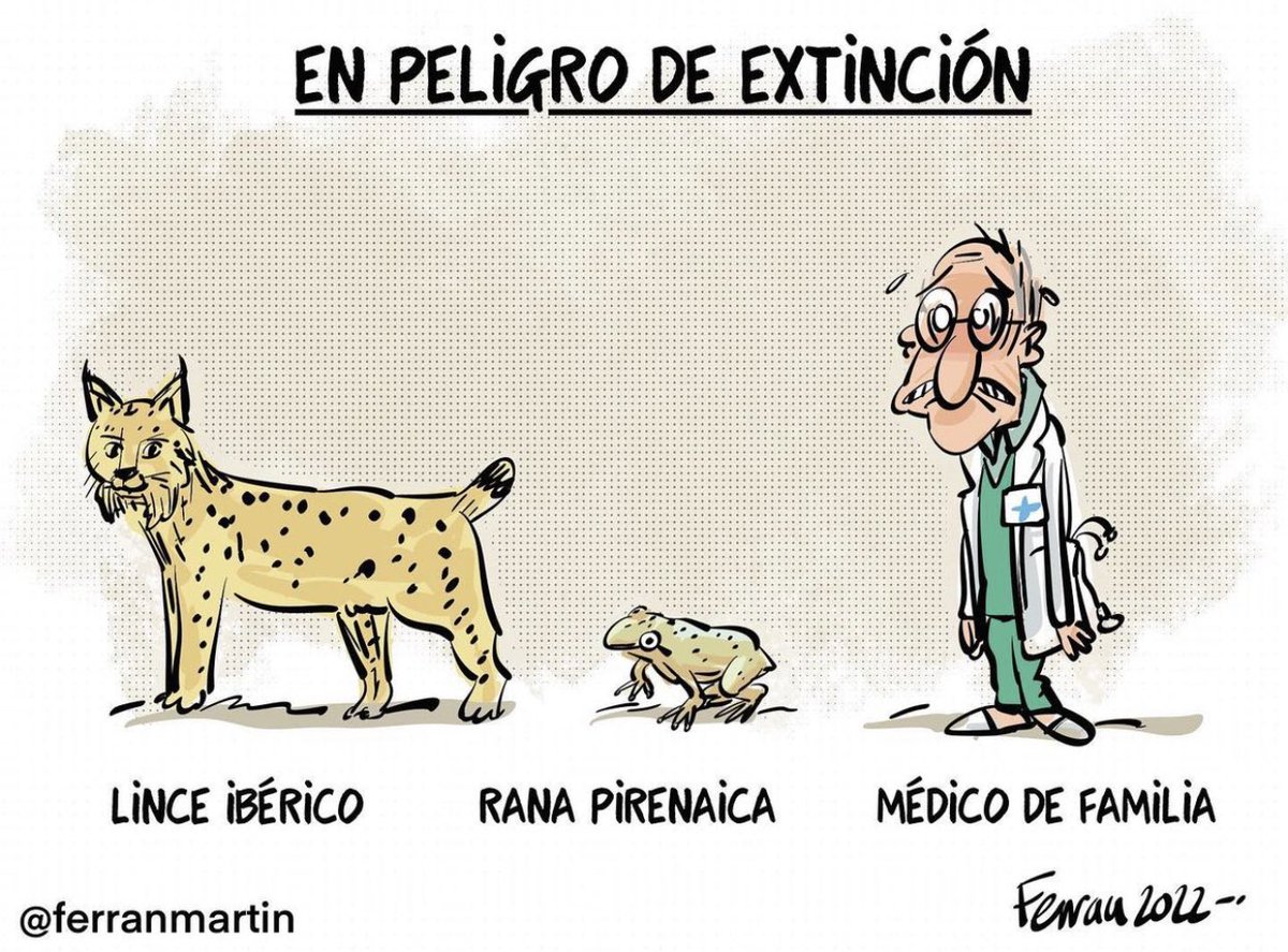 Medicina Cabreada tweet media