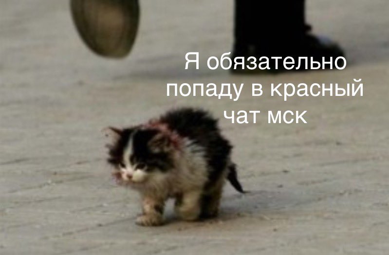 Turchanskii's tweet photo. https://t.co/EFsxGB2X2Q