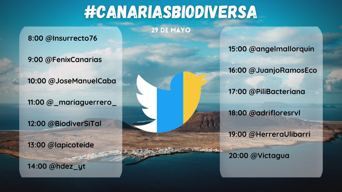 adrifloresrvl's tweet photo. ¡VUELVE #Canariasbiodiversa!
Este domingo 29 volvemos a llenaremos Twitter de biodiversidad canaria.🇮🇨
🌱🌿🌲🌴🐢🦎🦀🐠🐬🐋🦇🦉🦅 https://t.co/FdeV1NBqDB