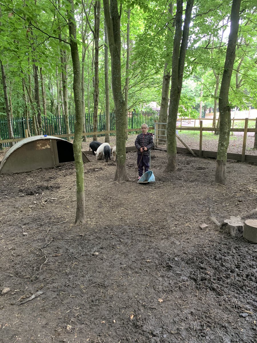 DanesfieldFS's tweet image. We had a visitor to FS this morning. Aptly named Garfield by Y3, who then joined them in the den and was made special 🐈 toys #animalfun @DanesfieldSchl @DanesfieldY3