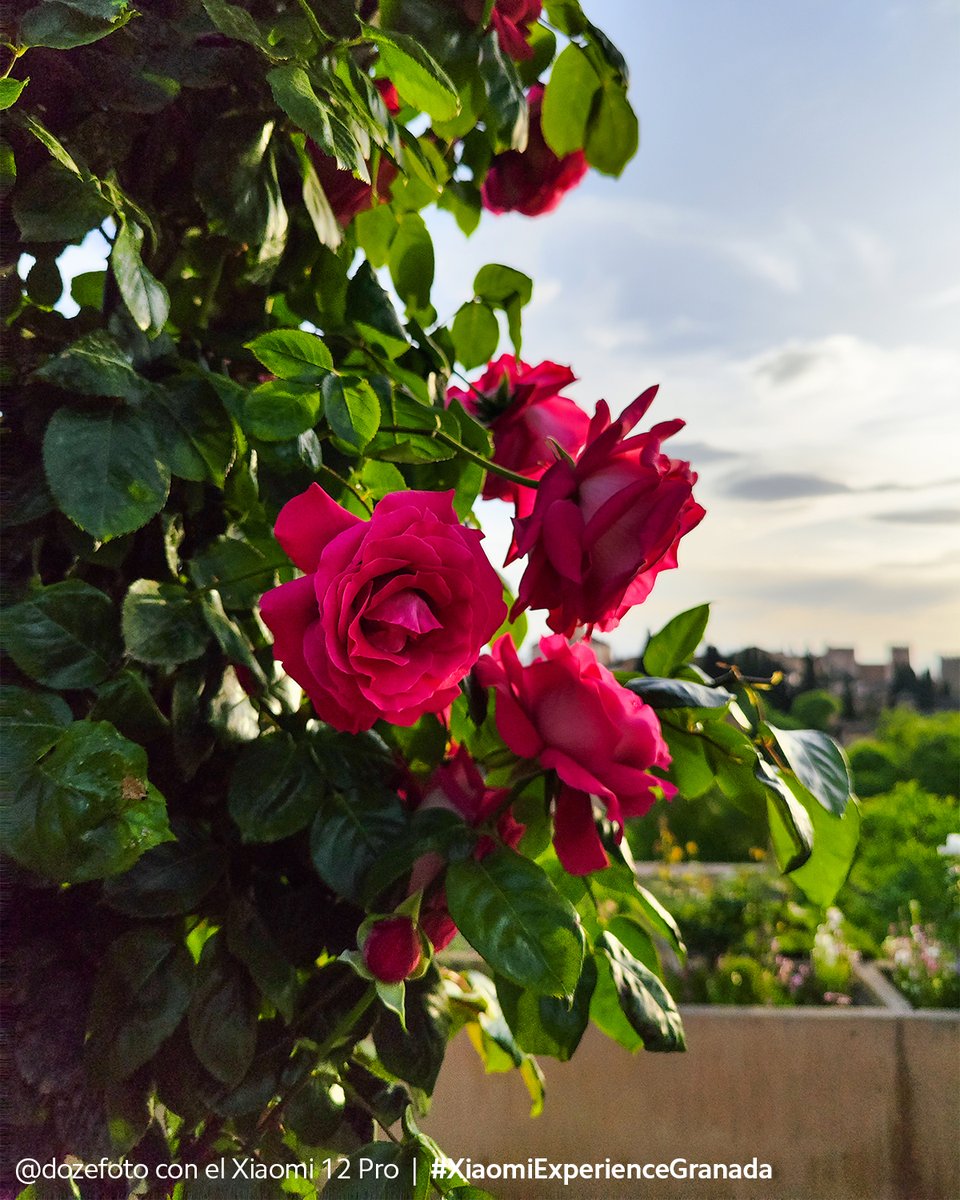 Esta es una nueva forma de ver Granada a través de los ojos de Greg García @Dozefoto y la  #Xiaomi12Series. 

¿Qué os parecen los resultados de nuestra cámara fotográfica nocturna más potente hasta el momento?