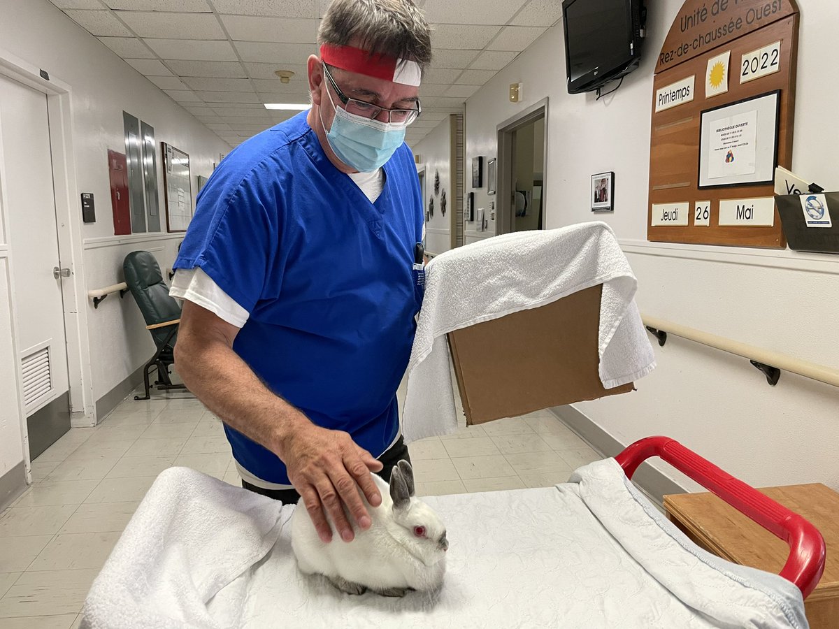 dd moreau tweet media