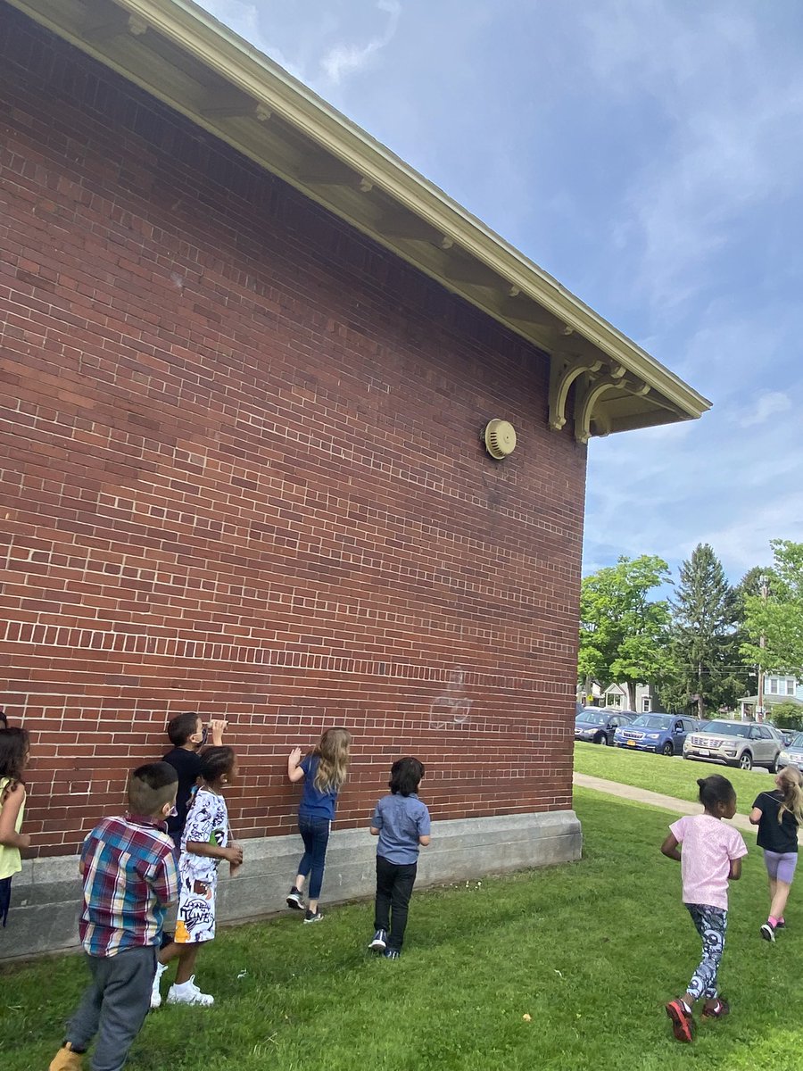 Julia4156's tweet photo. Animals 2 by 2…..we made binoculars to go bird watching around our school https://t.co/hq4xha67JA
