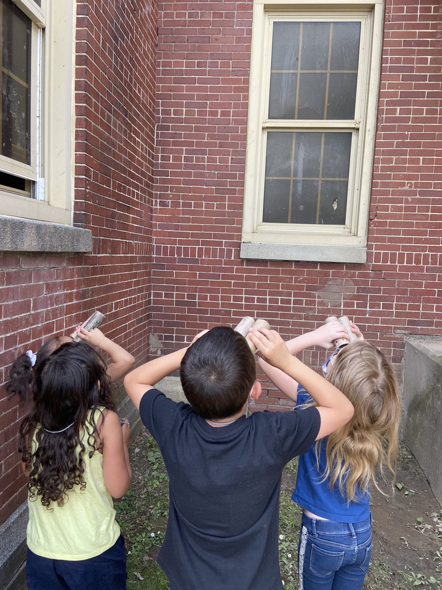 Animals 2 by 2…..we made binoculars to go bird watching around our school