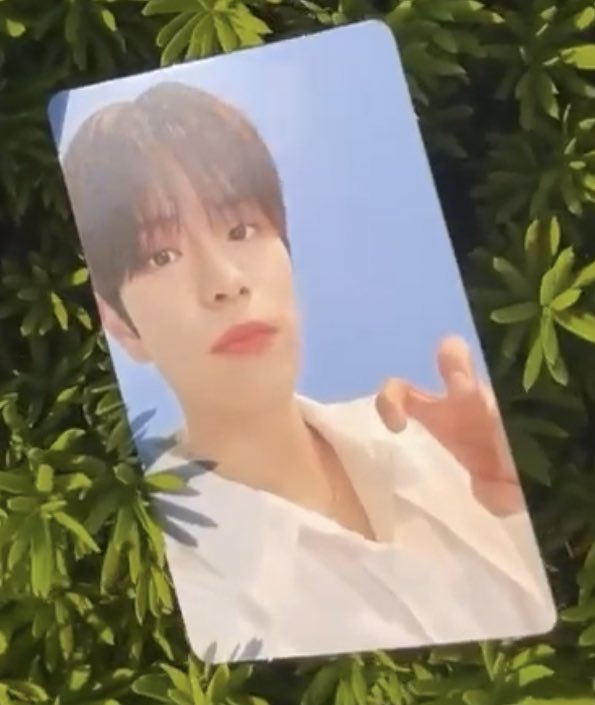 dailyseung2's tweet photo. 2min's nacific r11 pcs are so pretty i need them https://t.co/bKe2aFVViE