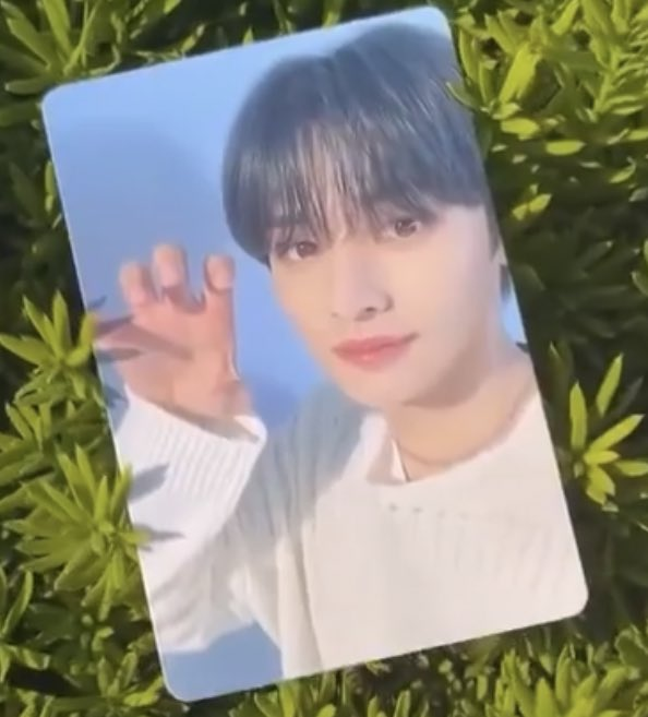 dailyseung2's tweet photo. 2min's nacific r11 pcs are so pretty i need them https://t.co/bKe2aFVViE