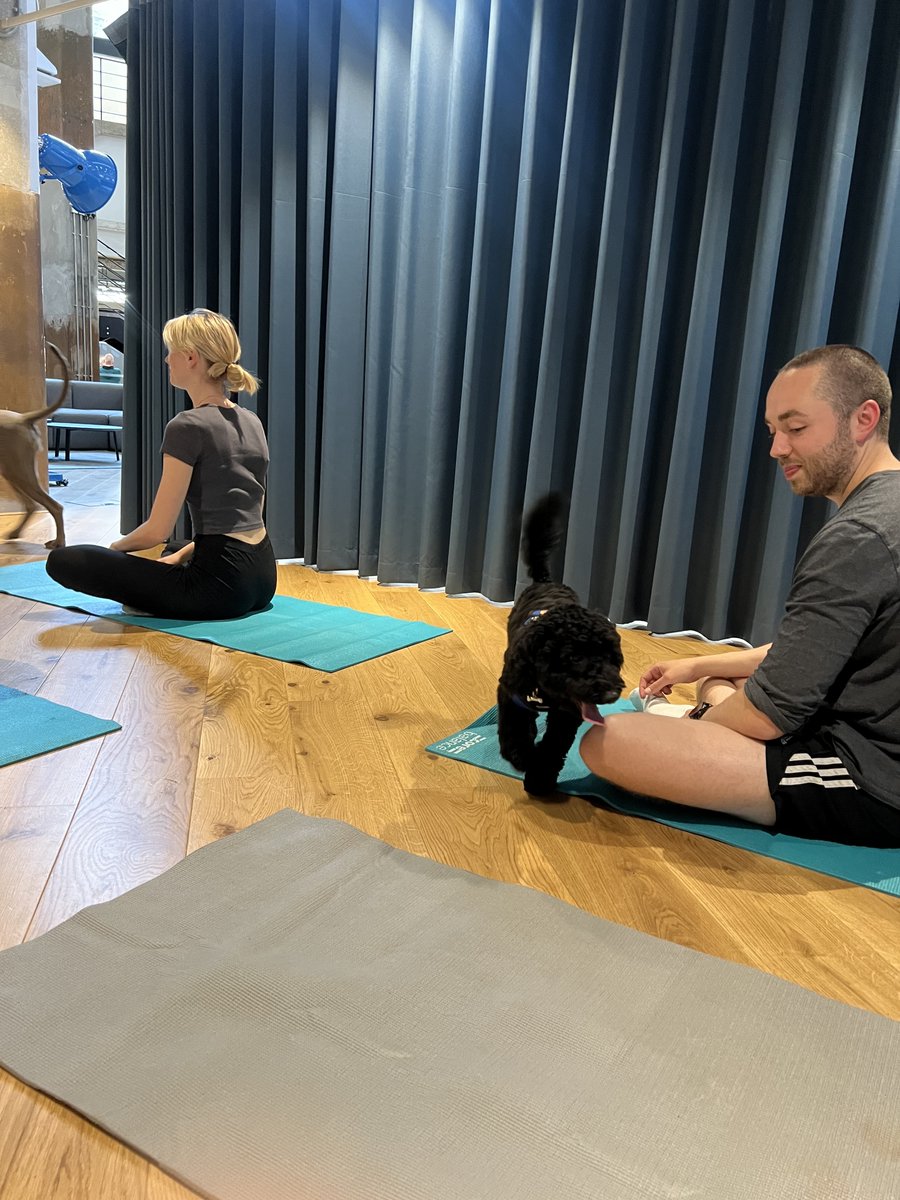 POV: You're in a puppy yoga class at Moonpig HQ