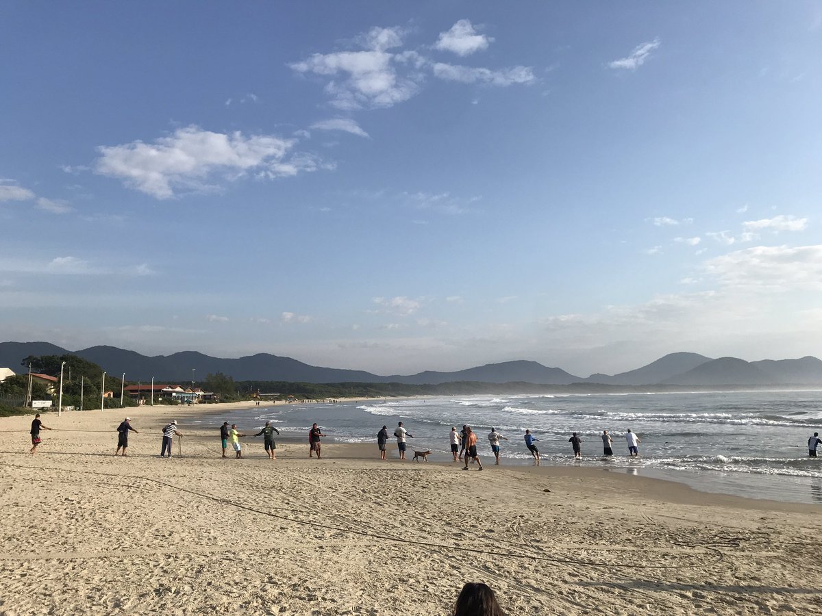 fishlips_caj's tweet photo. Watching artisanal tainha fishermen pull ~500m net to the shore in Barra da Lagoa. Amazing to watch everyone come out to help pull the net in. Note people in the distance are the other end of the net. https://t.co/kroO2Jg9Fv