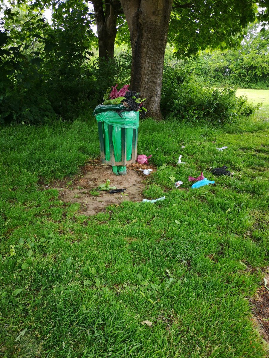 @akelabird tweet media