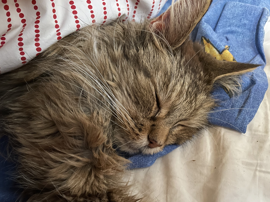 houstonianhousewifediaries.nl/nature/naar-de…