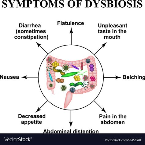 ResilientDad's tweet photo. Do you have Gut Dysbiosis? 

Below are some herbs that can help resolve SIBO and other gut issues: https://t.co/9xitj41Xo7