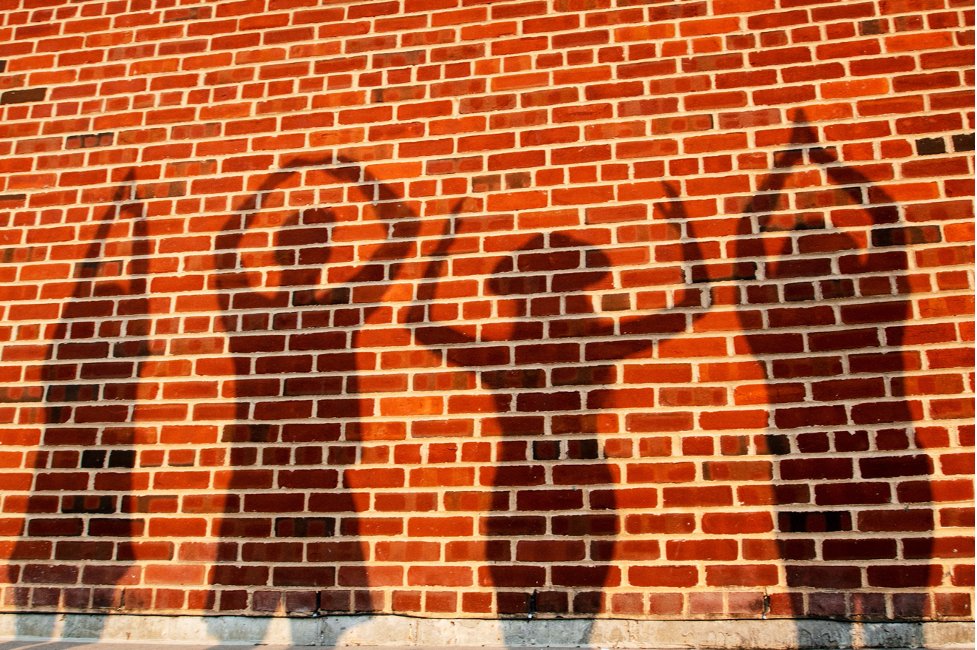 💛 I   O   W   A  🖤