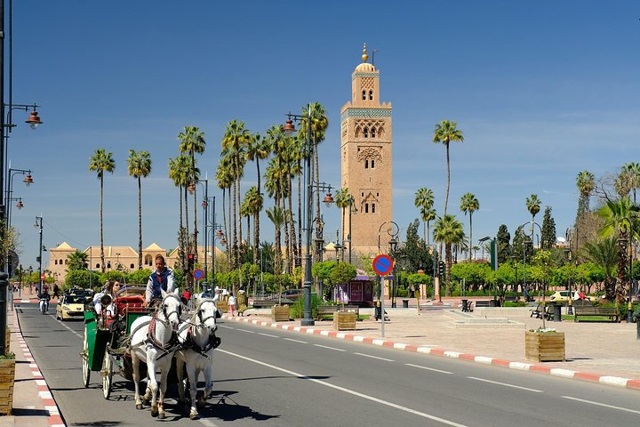 JanahMorocco's tweet photo. #مراكش
مدينة لو سألت عن تاريخها ��أجابك الشجر والحجر والبنايات.
مدينة تتكلم لوحدها، لا يمكن لأحد وصفها.
مدينة جوها حار في الصيف بارد في الشتاء.
مدينة تدخلها مسرورا، وتخرج منها قلقا لفراقها.
#مهرجان_الثقافات10 
#مهرجان_الثقافات_والشعوب10 
#المدينة_المنورة
@IU_mahrajan 
@iu_edu https://t.co/AluCuXDuiz
