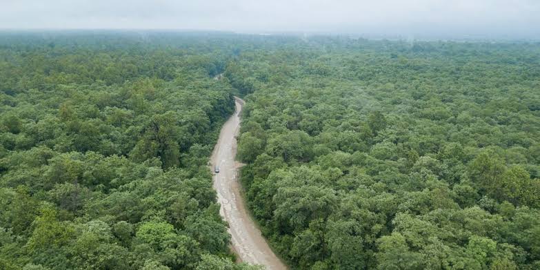 LicypriyaK's tweet photo. Breaking News: Nepal 🇳🇵Supreme Court dismissed the Government proposal to construct the biggest airport of Nepal at Nijgadh forest by cutting down 2.5 million trees at 8,045 hectares of total area. This is a big win for all the brave climate activists of Nepal. https://t.co/SXdRDylL5O